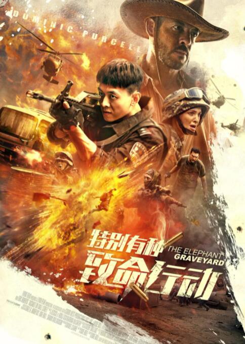 三级伦理电影聚合